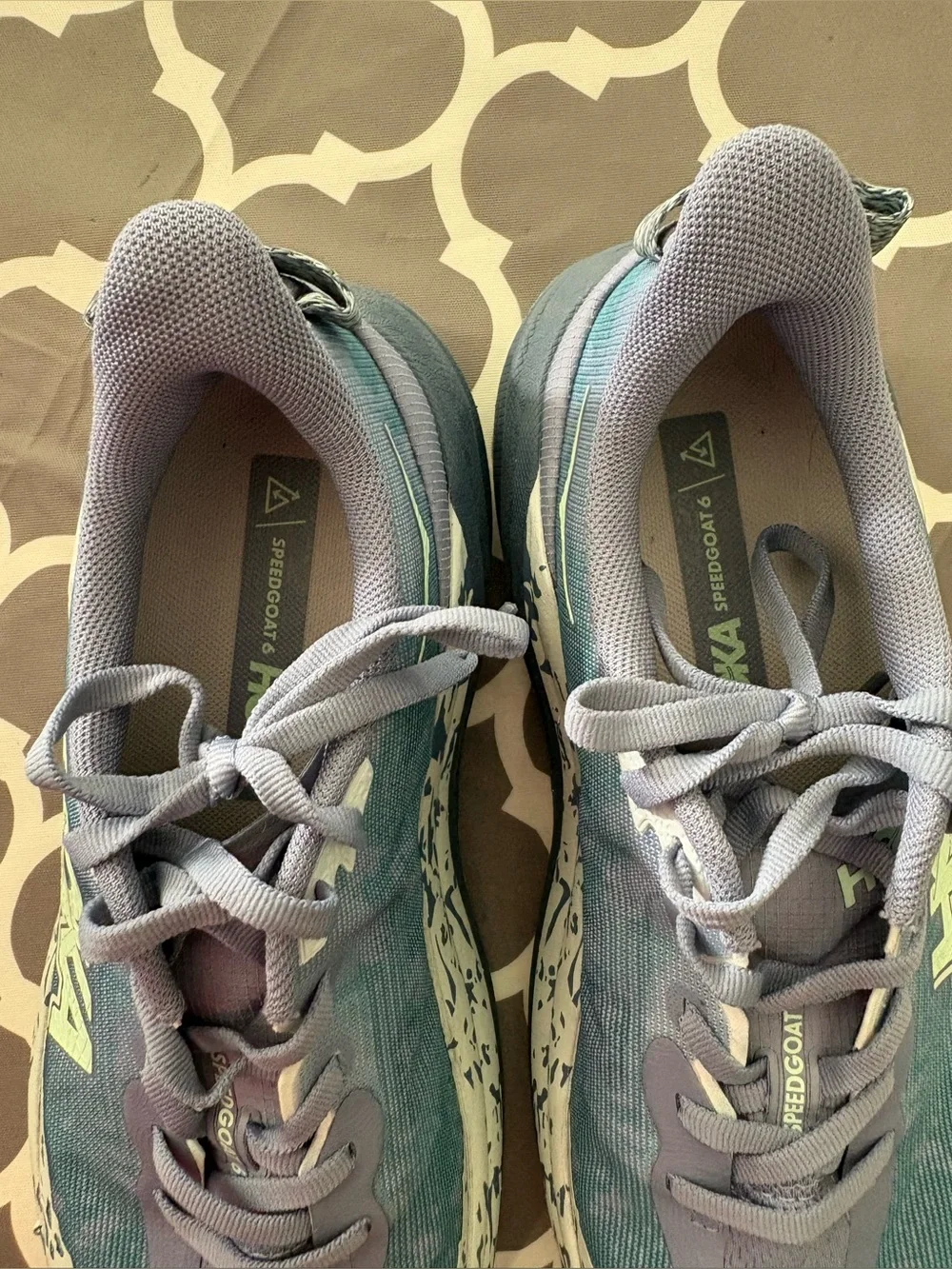 Hoka One One Speedgoat 6 trail running shoes